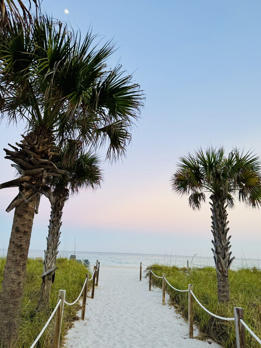 eva edxn tweet media