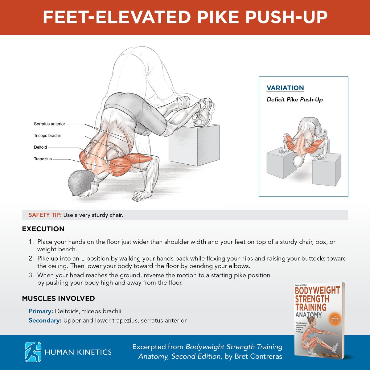 Human Kinetics Europe tweet media