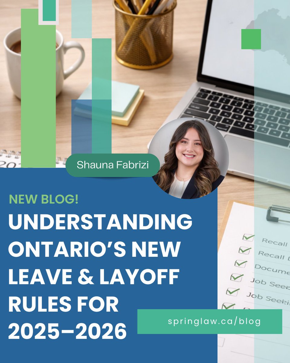 SpringLaw tweet media