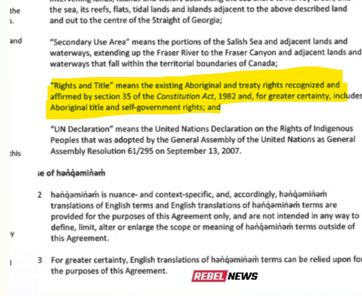 Tablesalt 🇨🇦🇺🇸 tweet media