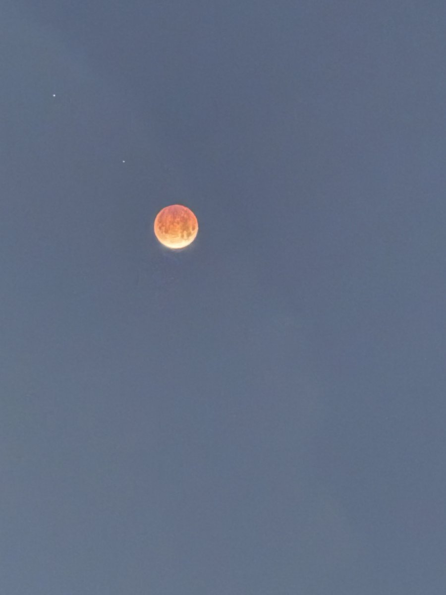 Christine Gregory tweet media