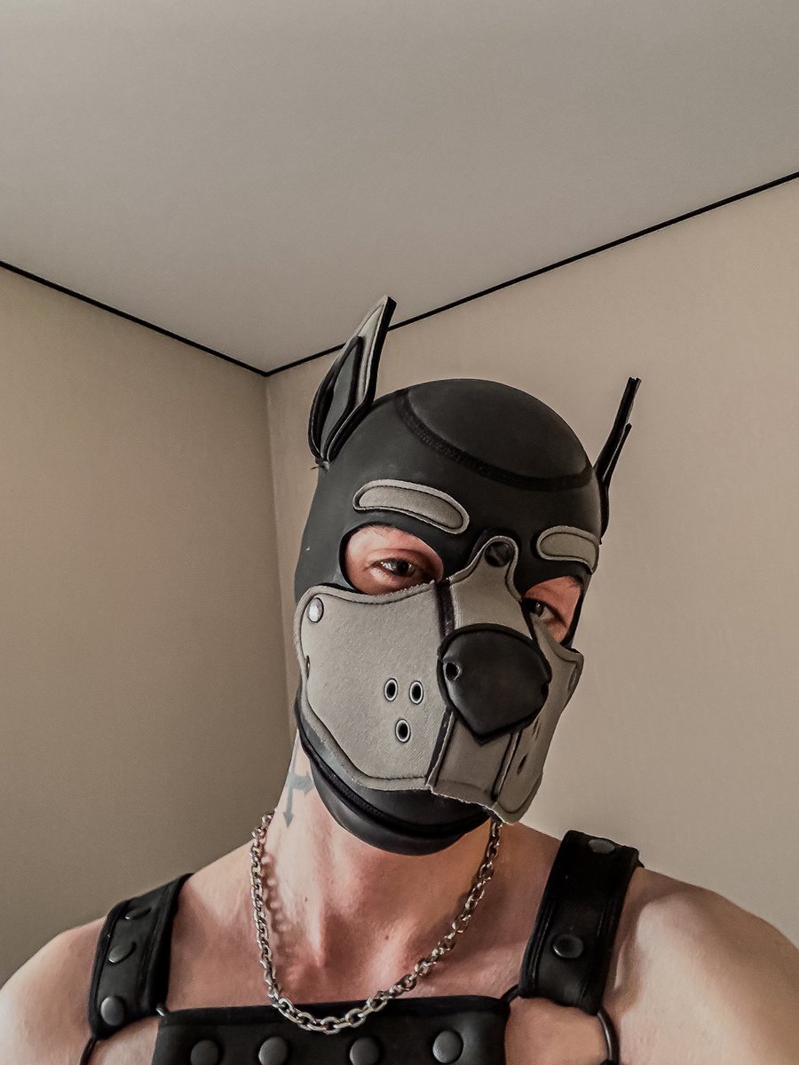 Прийшов весна, пора гавкать чи м’явкать 🤔Короче дивіться в чому мені дали сфотатись😏