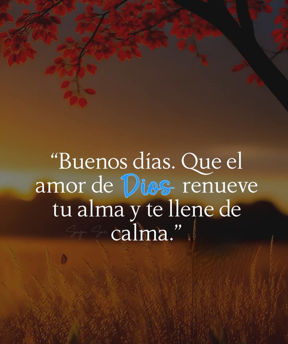 Buenos días  Que el amor de Dios renueve tu alma, te llene de calma y te guíe en cada paso. Que hoy sea un día lleno de paz, gratitud y bendiciones.