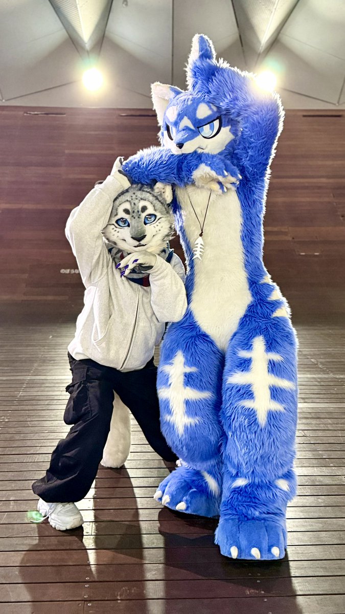 🍙눈-눈🍙⏩️FURSTCLASS tweet media