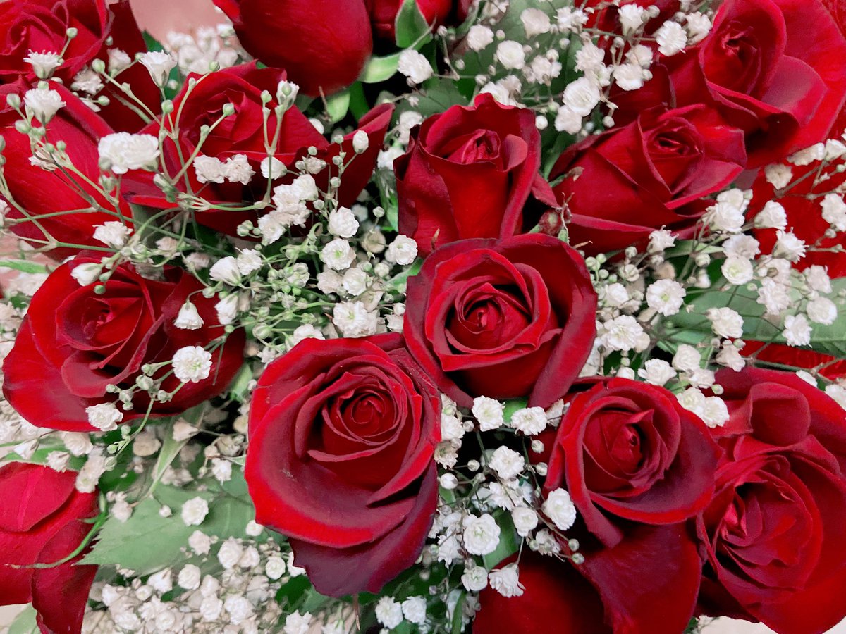 ❤️17th Anniversary❤️

坂田さん活動17周年おめでとう
ございます✨️
活動を始めてくれて、私と出会って
くれてありがとうございます❀
これからもずっと大好きです♡

 #坂田です
 #となりの坂田17周年
 #となりの坂田活動17周年
 #あほの坂田17周年
 #あほの坂田活動17周年