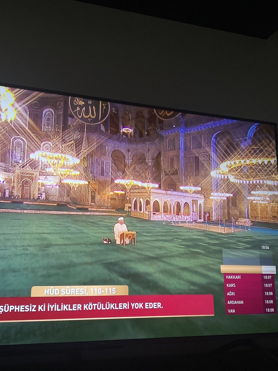 betulumdur's tweet photo. Hayvanlardan nefret etmediğim nadir 1 an husule geldi az önce https://t.co/brxUyhuCjW