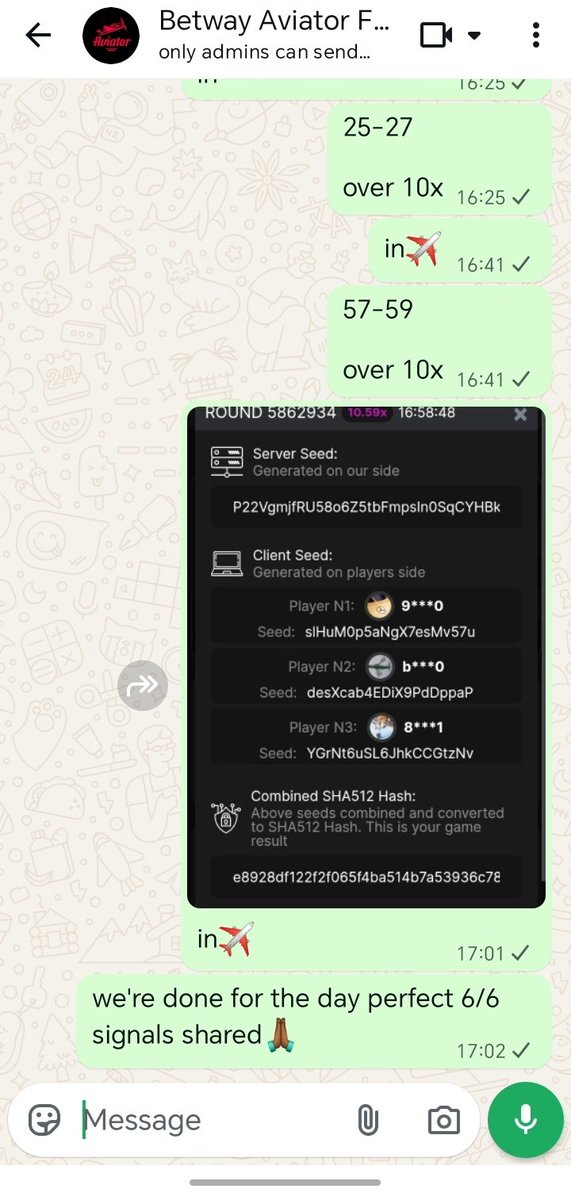 that airplane guy tweet media