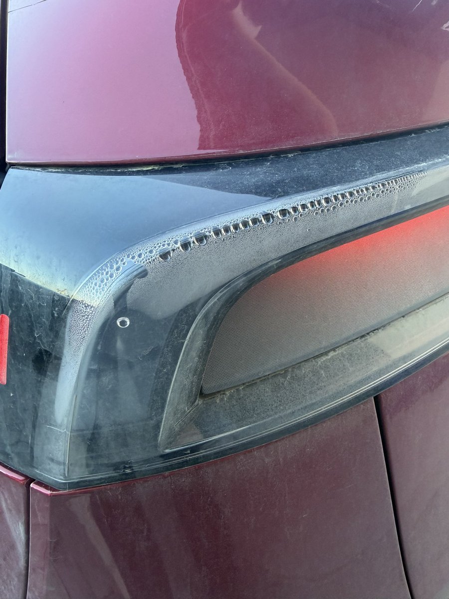 Michał Gapiński tweet media