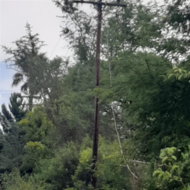 Eskom_SA's tweet photo. #EskomNorthWest
#UnplannedPowerOutage
#Bethanie #Brits
Eskom is aware of the unplanned power outage affecting customers in Bethanie village, especially in areas around the police station in Brits, North West. The outage was caused by severe weather over the past two days, which led to trees falling onto power lines. Our technicians are currently on site assessing and repairing the damage.
At this stage, the estimated time of restoration has not yet been determined, and ongoing weather conditions may affect repair progress.
For safety reasons, customers are urged to treat all electrical points as live.
We apologise for the inconvenience and appreciate your patience. Further updates will be shared as more information becomes available.
