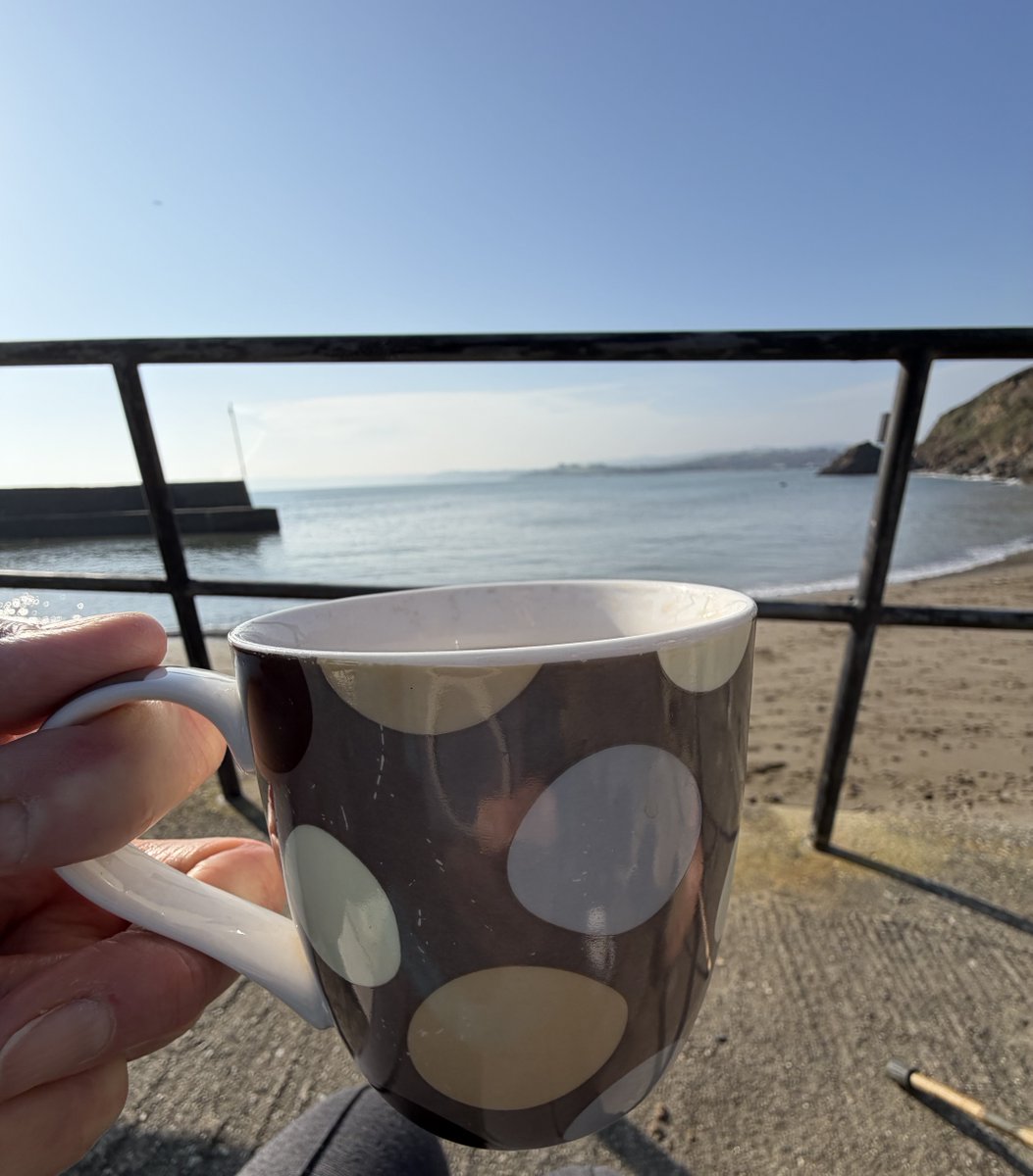 Pat 🐝 tweet media