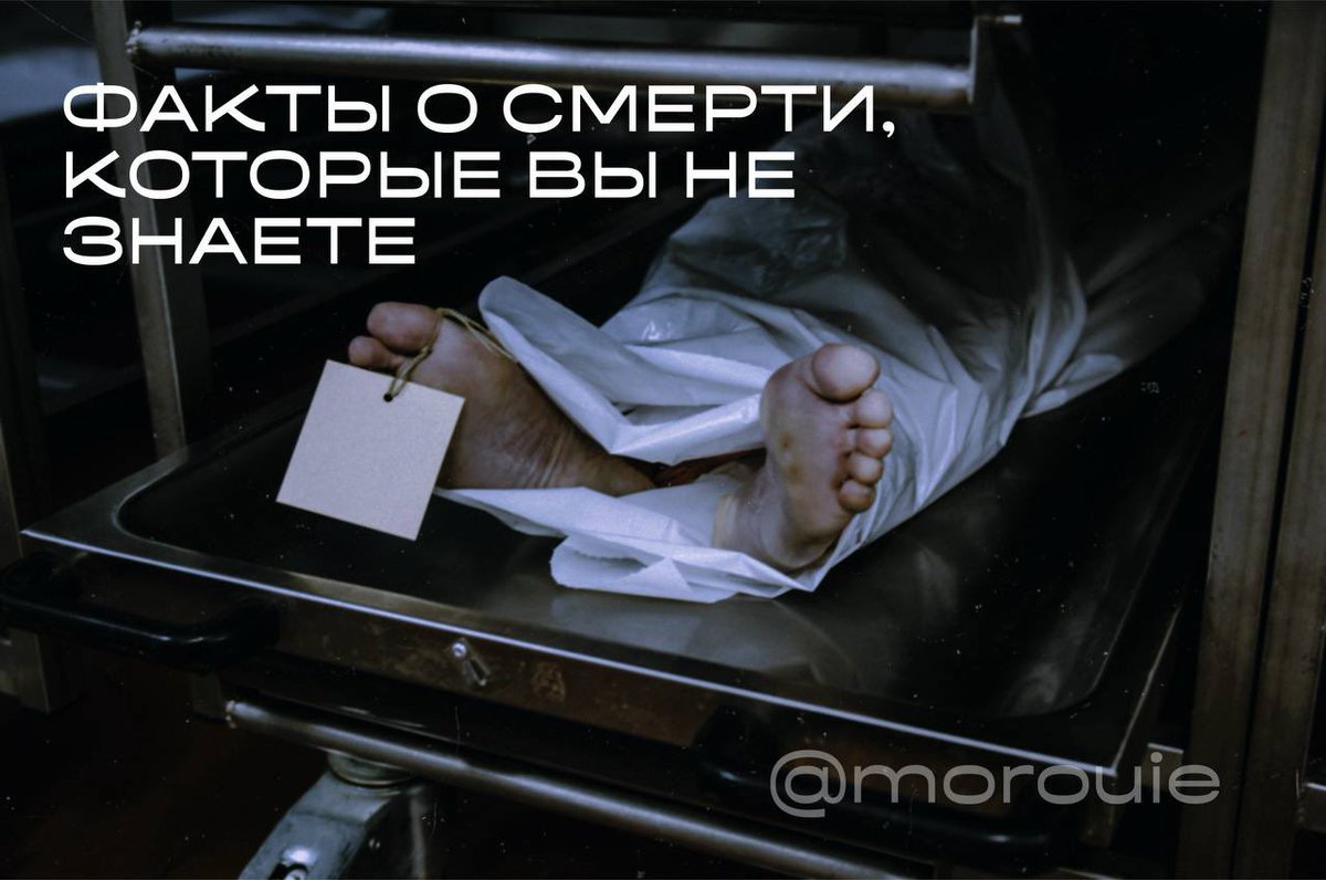 NecroТанатопрактик tweet media