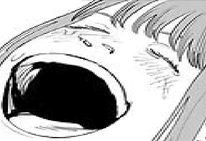 Furinji Hayato tweet media