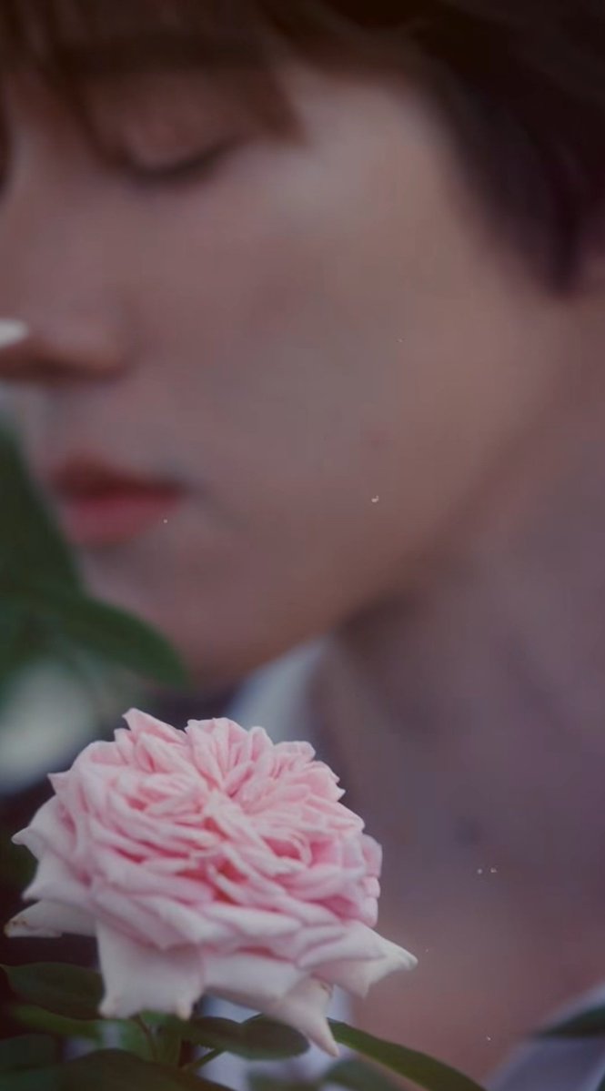 สวยขนาดนี้ ถ้าหลงเข้าไปในปราสาทก็ไม่ได้ออกมาหรอก อสูรหวงแย่

#MaisonMargielaFragrances
#hirunkit_