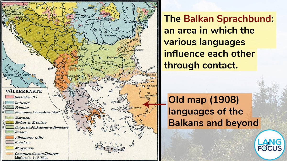 Langfocus Paul 🪬 tweet media
