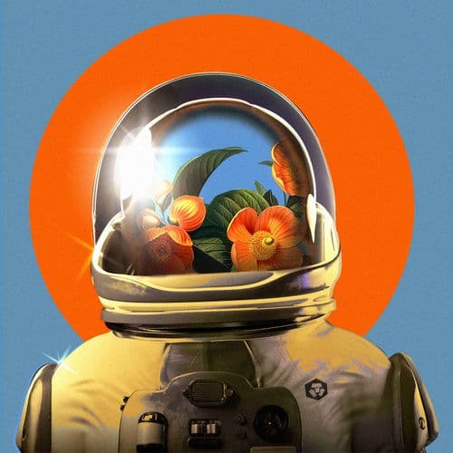 Cryptonauts Sales Bot 🚀 💸 tweet media