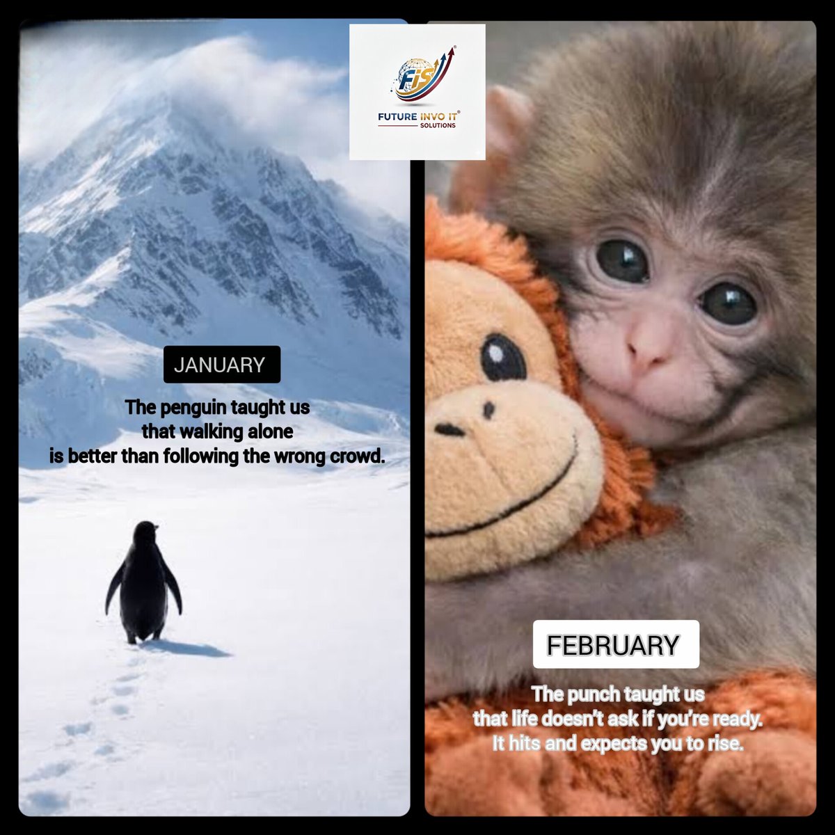 Future Invo Solutions tweet media