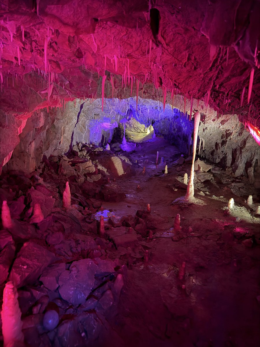 Crossflatts Primary tweet media