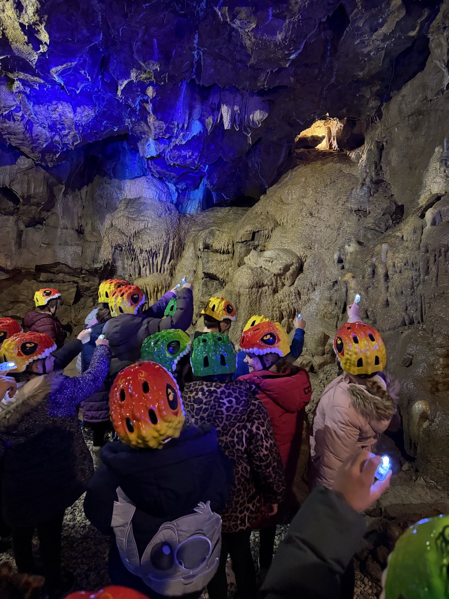 Crossflatts Primary tweet media