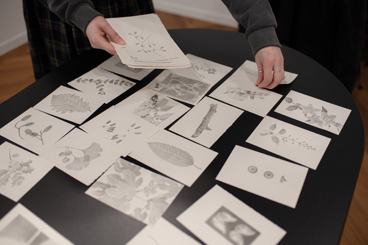 김목요 tweet media