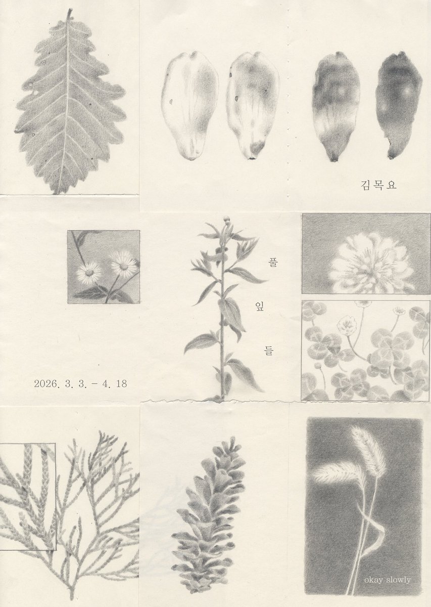 김목요 tweet media