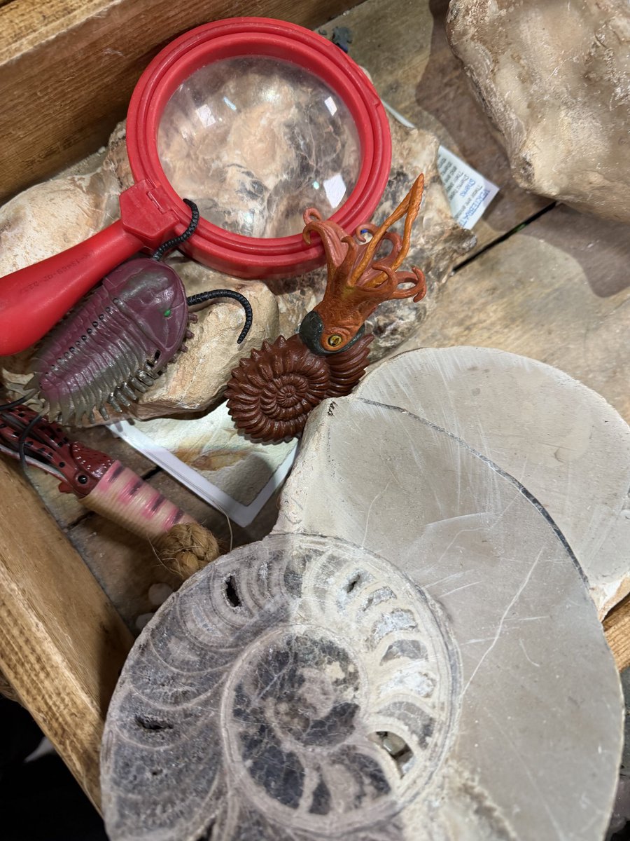 Crossflatts Primary tweet media