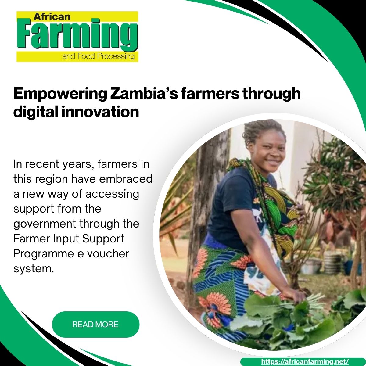 African Farming tweet media