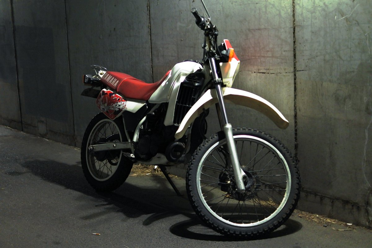 折井B六 / ORIIB6 tweet media