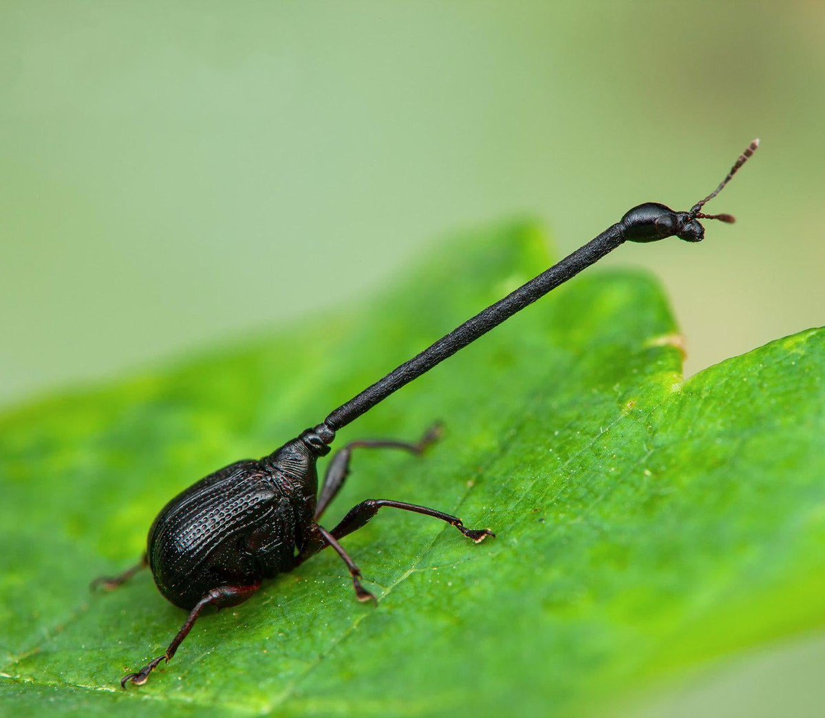 Shy 🔞 ||on bsky now|| tweet media