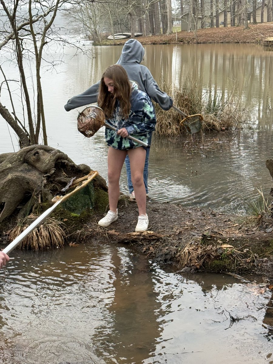 Danielle Combs tweet media