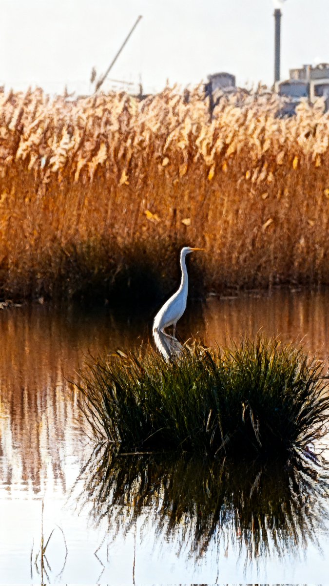 Steve Tandy tweet media