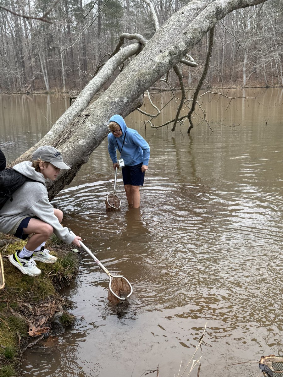 Danielle Combs tweet media