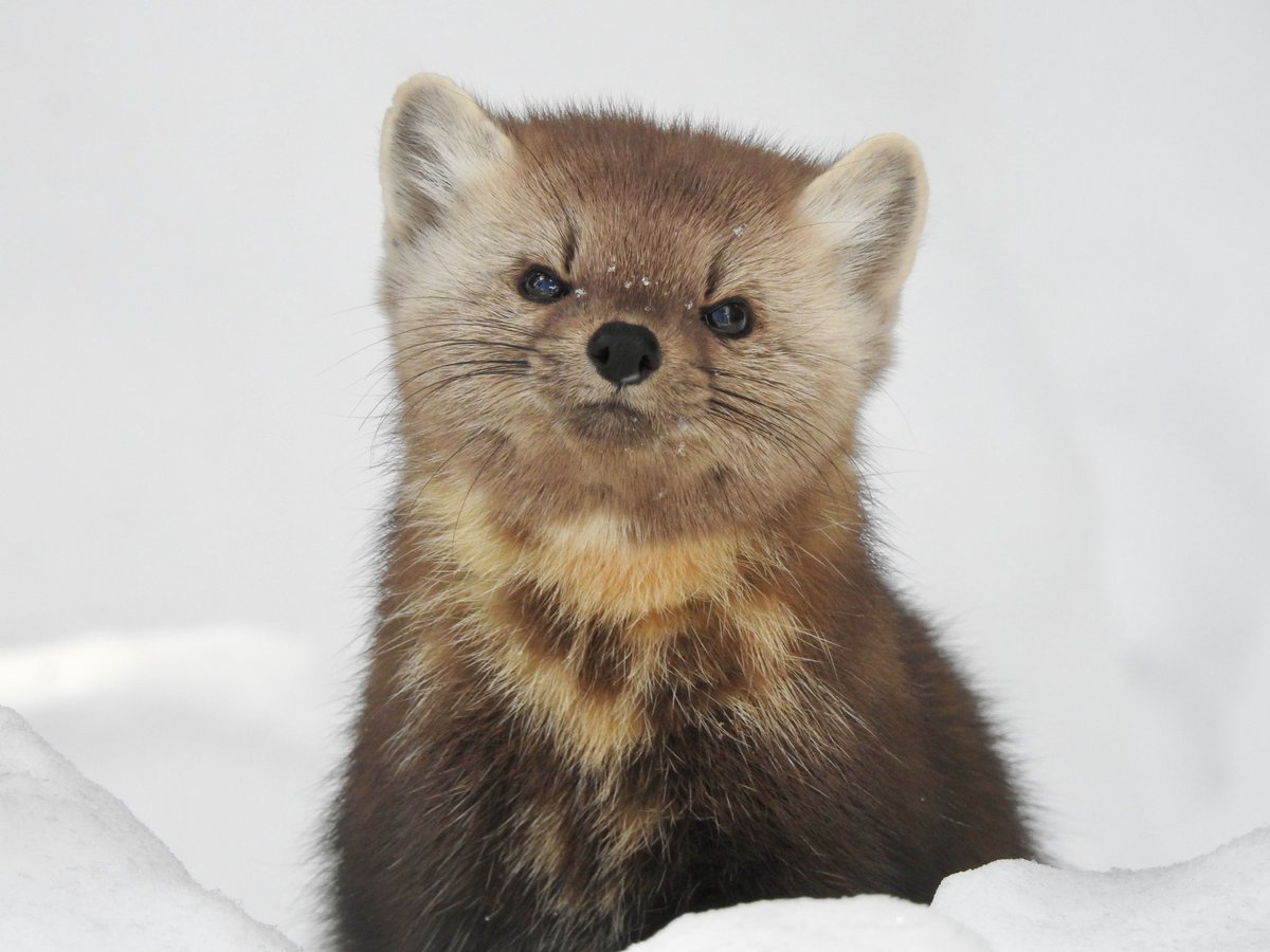 Karen 🌞🌻🐤 tweet media