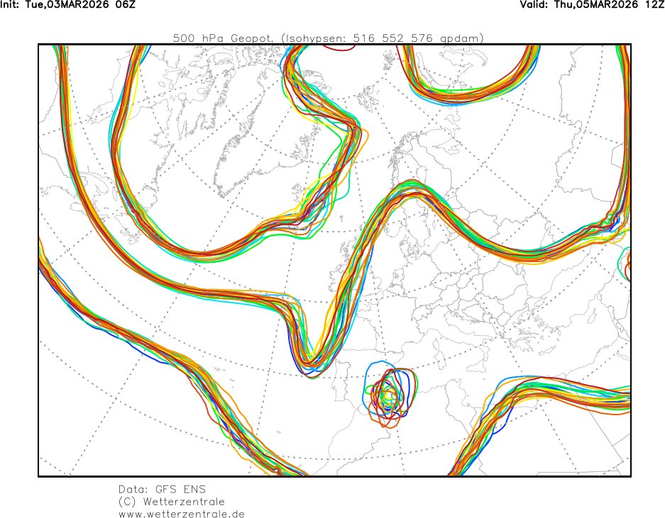Marc Gassó Torrents tweet media