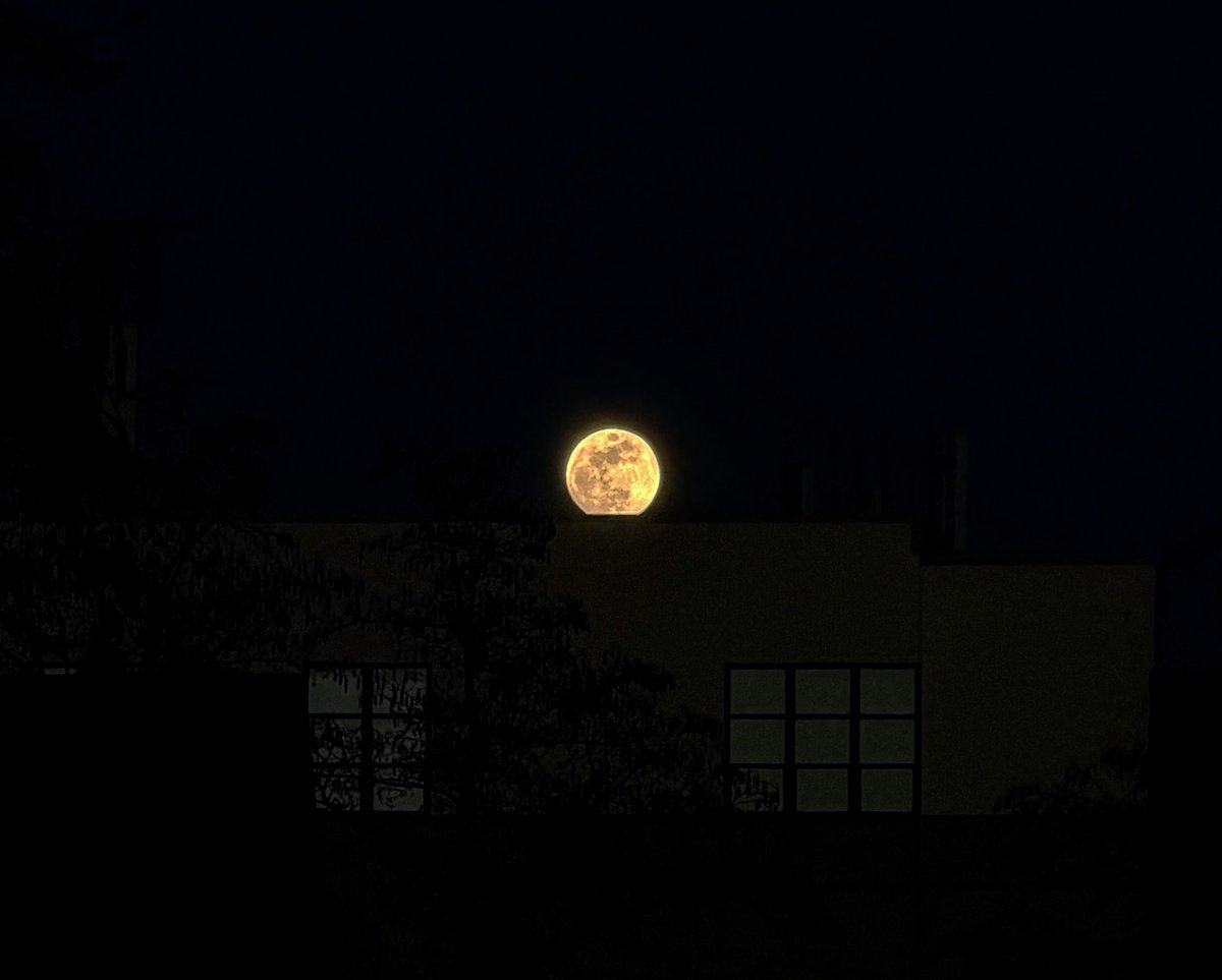 The moonlight, was bright, last night!