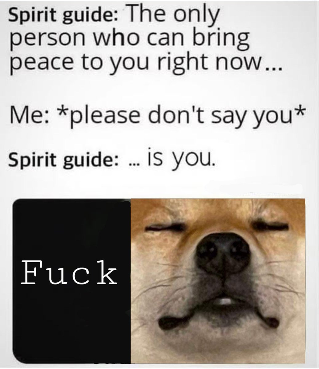 TONIC the Bonk Dog tweet media