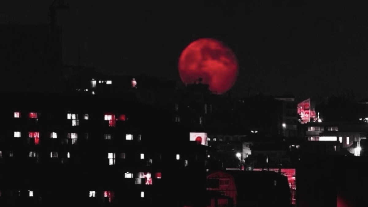 hazel 🍉 tweet media