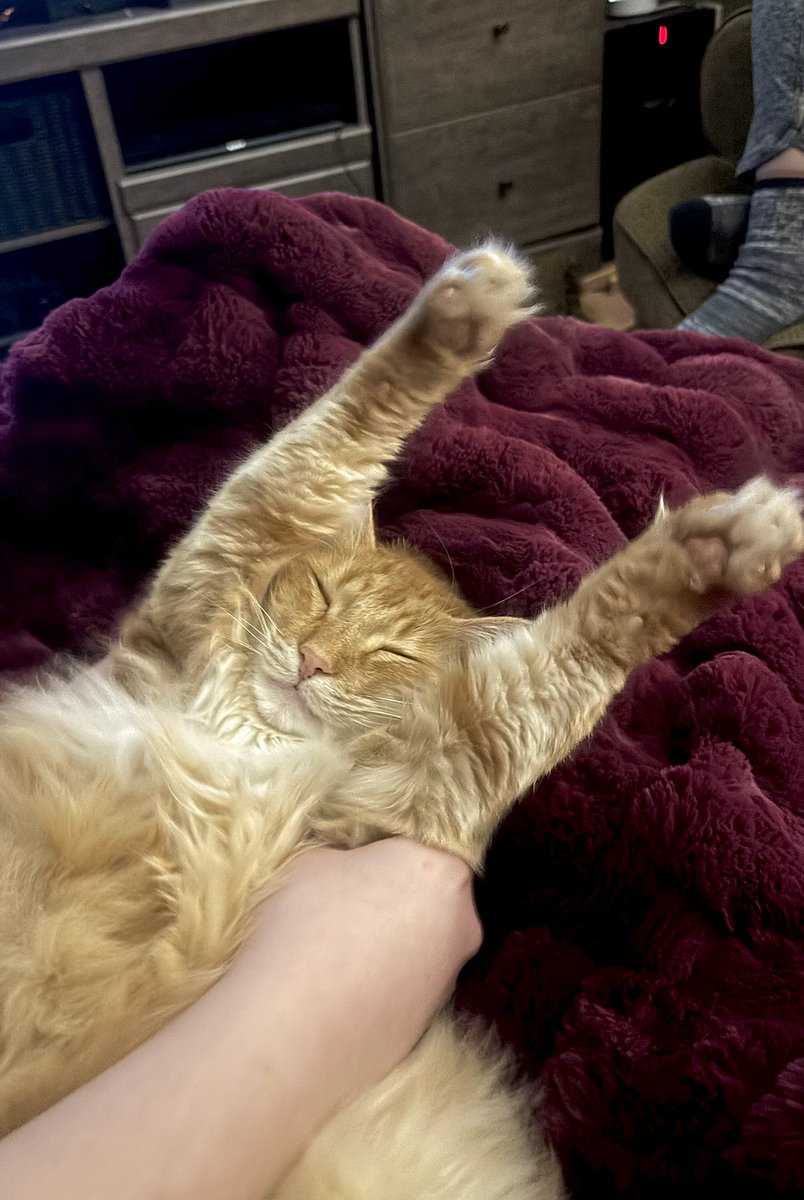 Paul Lambert tweet media