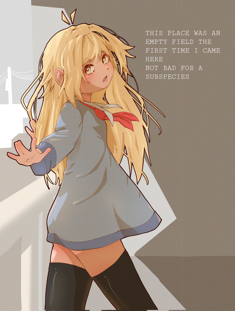 マモMaMo tweet media