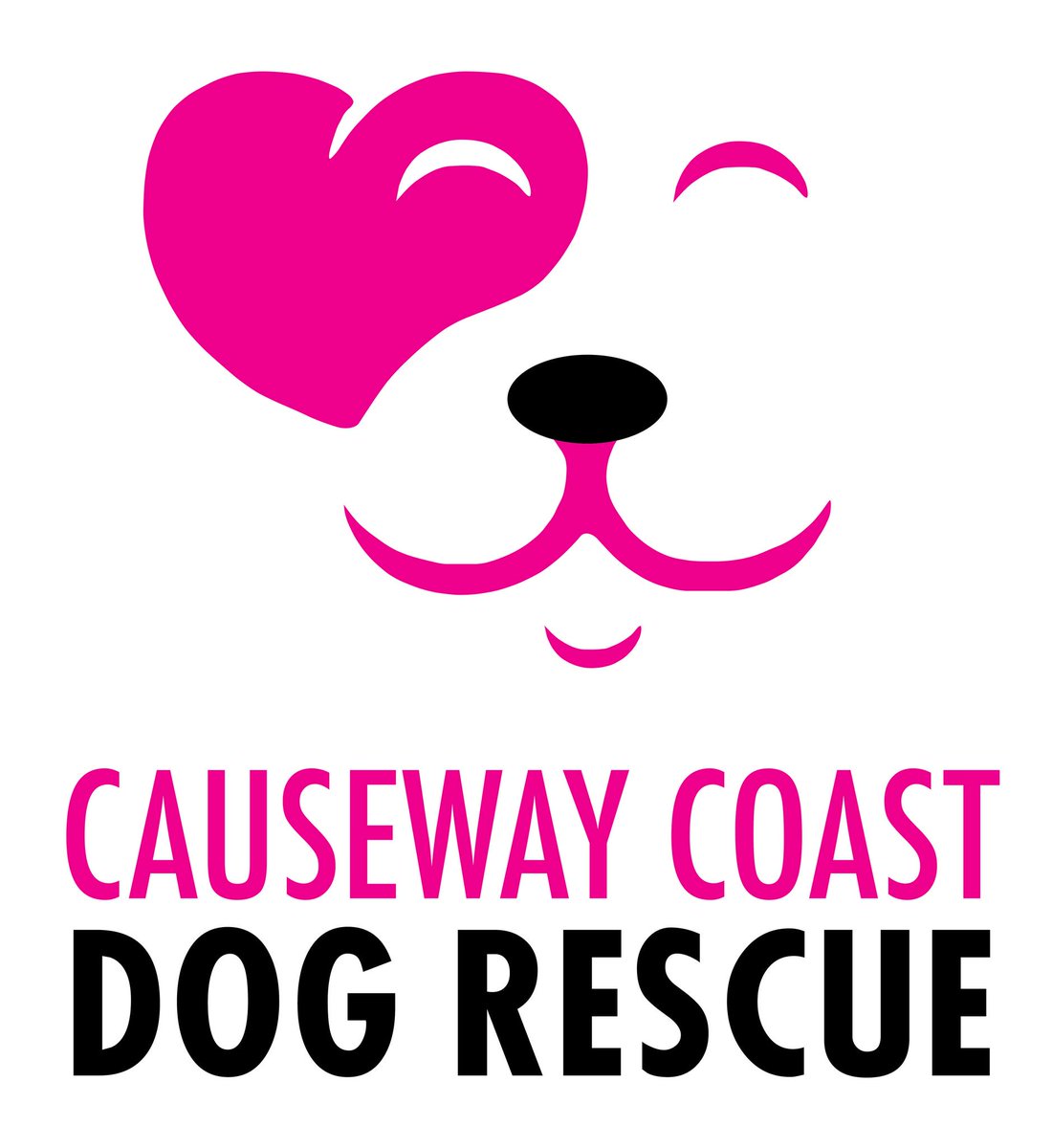 Northern Ireland Companion Animal Welfare Group tweet media