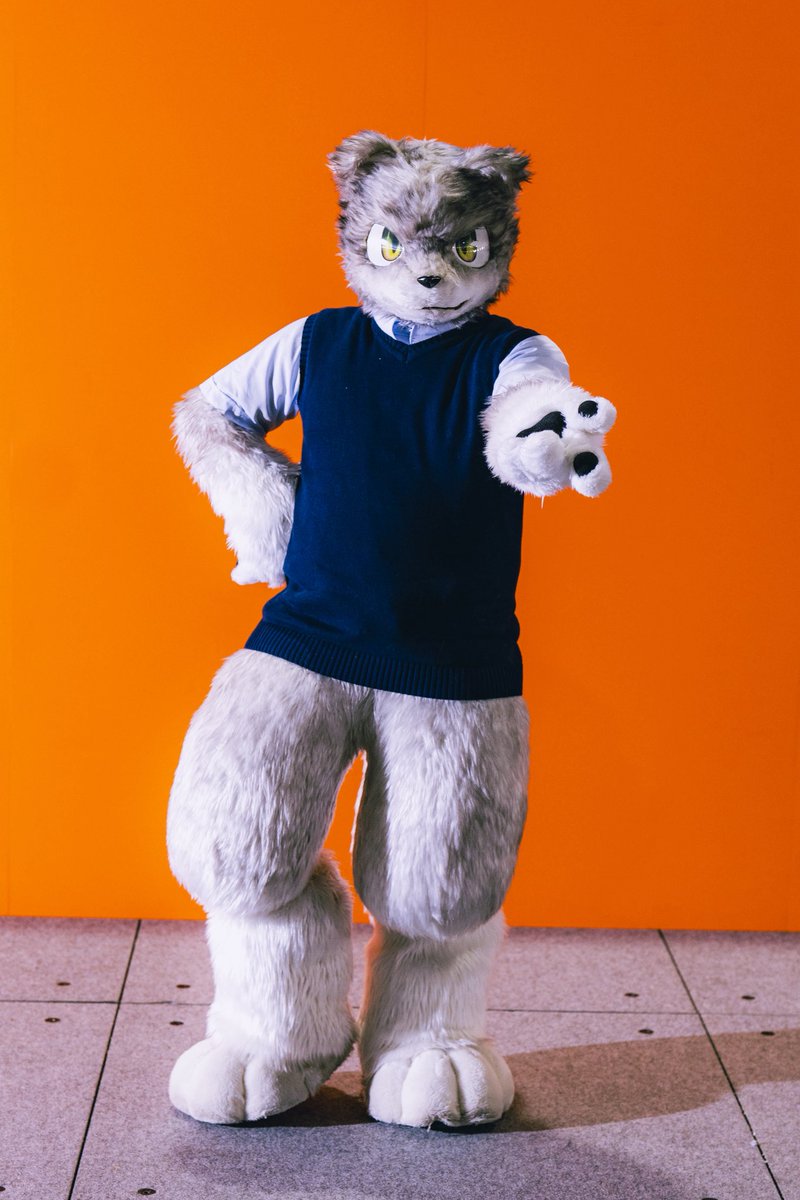 ジッポ / Jippo tweet media