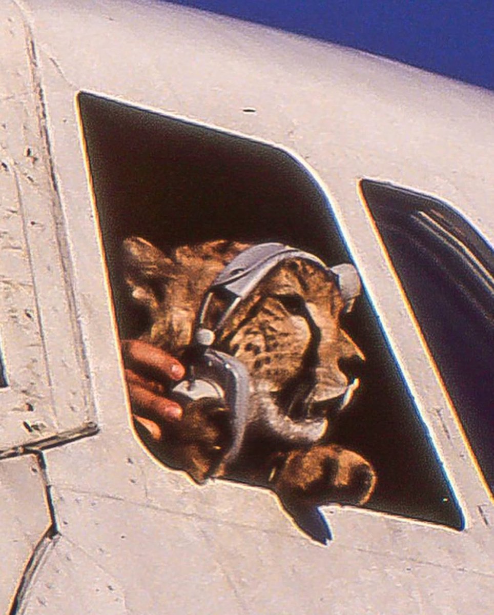 Turbine Traveller tweet media