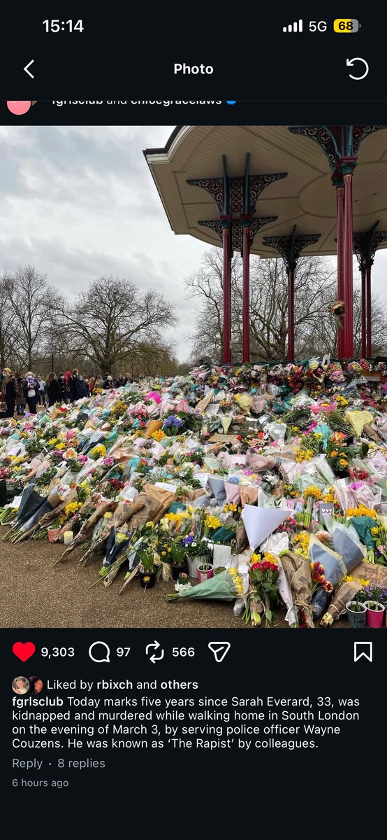 Ginger Tucci tweet media