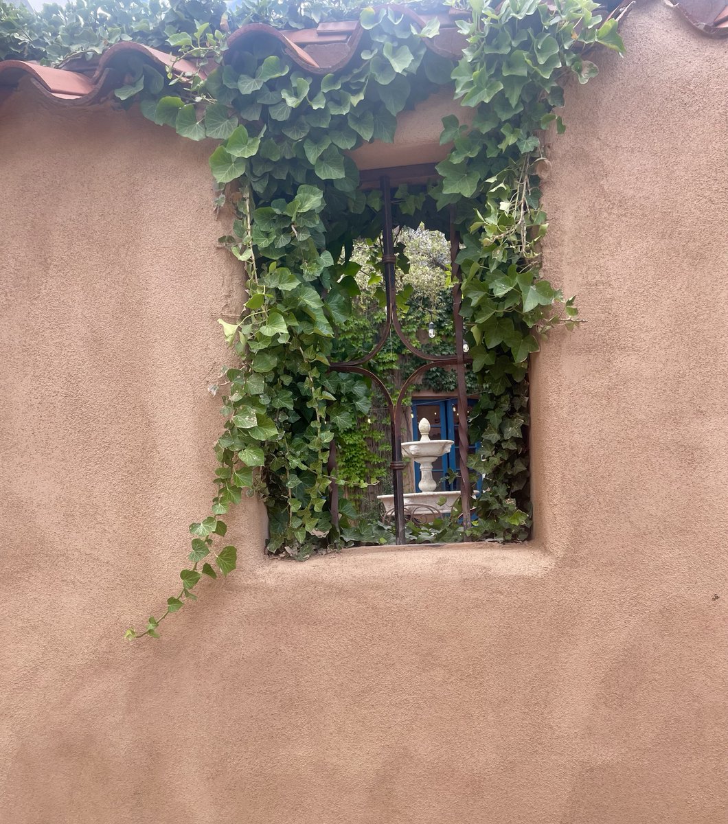 Cass Lewis tweet media