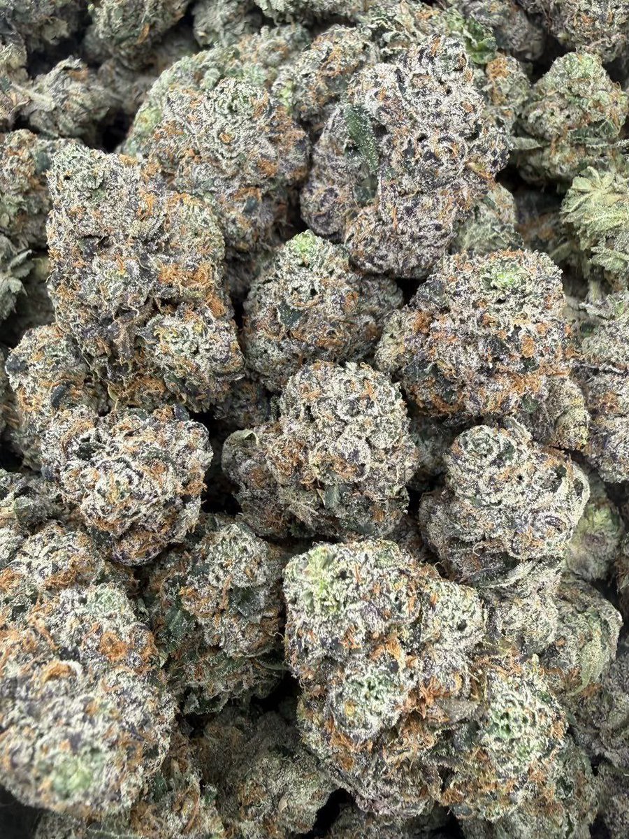 packsman_'s tweet photo. 💥🍬 Wham Wham

Explosive candy-gas profile with a loud, punchy nose and a smooth, heavy finish. Frost-loaded buds, dense structure, and true high-end bag appeal. https://t.co/SXs1a4ksVY