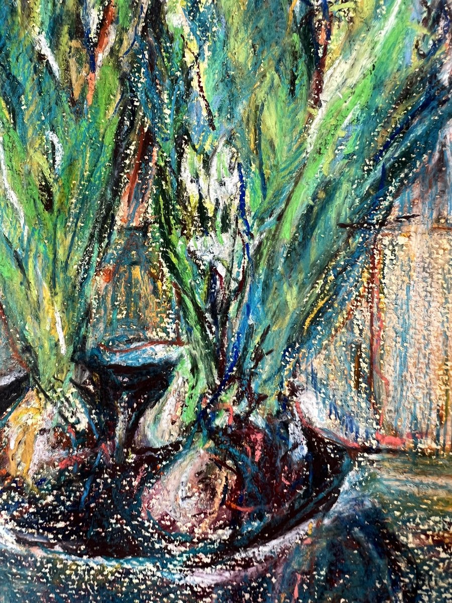 ivanunframed's tweet photo. Flowers for a day in spring… 

https://t.co/u1335bkuDn https://t.co/DmjSXG82rs