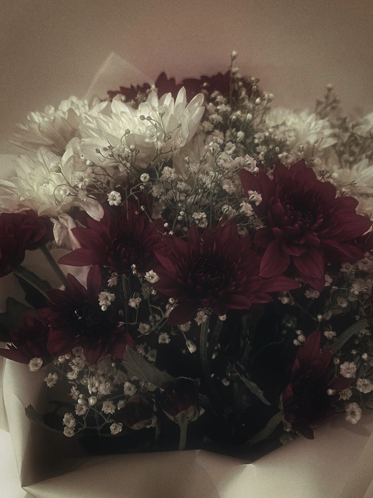 ' ๐ (-16 ๐) tweet media