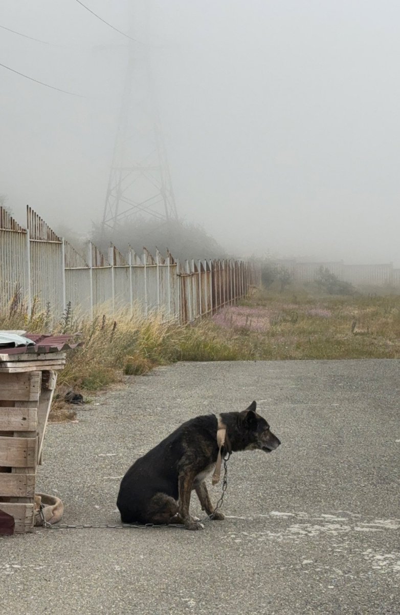 Name this photo🌫️