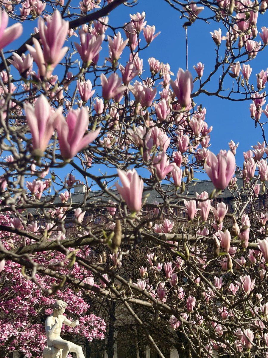 Dites-lui que je pense à elle
Quand on me parle de magnolias