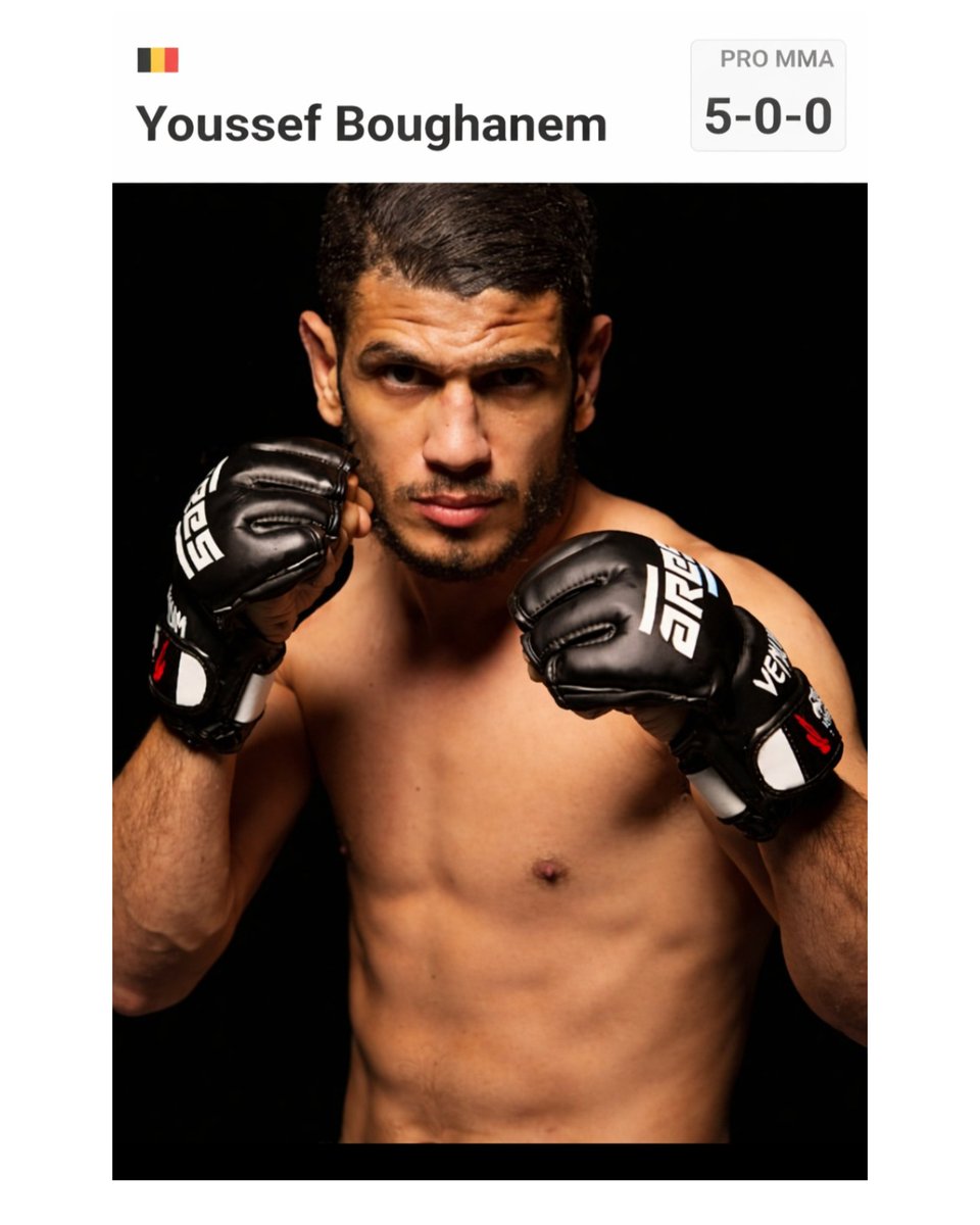 𝐦𝐚𝐧𝐧𝐲 𝐟𝐞𝐫𝐧𝐚𝐧𝐝𝐞𝐬 tweet media