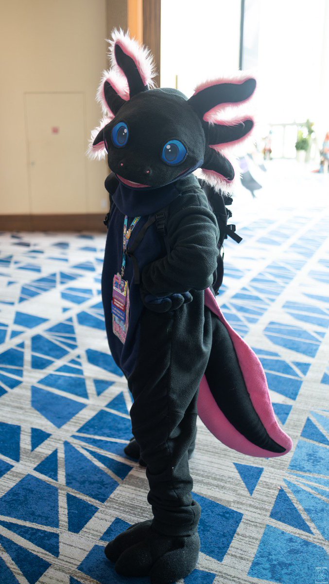 AxolotlBubbles's tweet photo. Suit vs suiter! https://t.co/YQv9cRvkY8